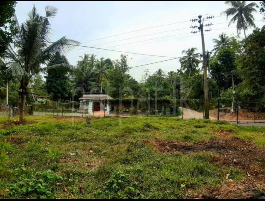 Residential Land for Sale in Minuwangoda