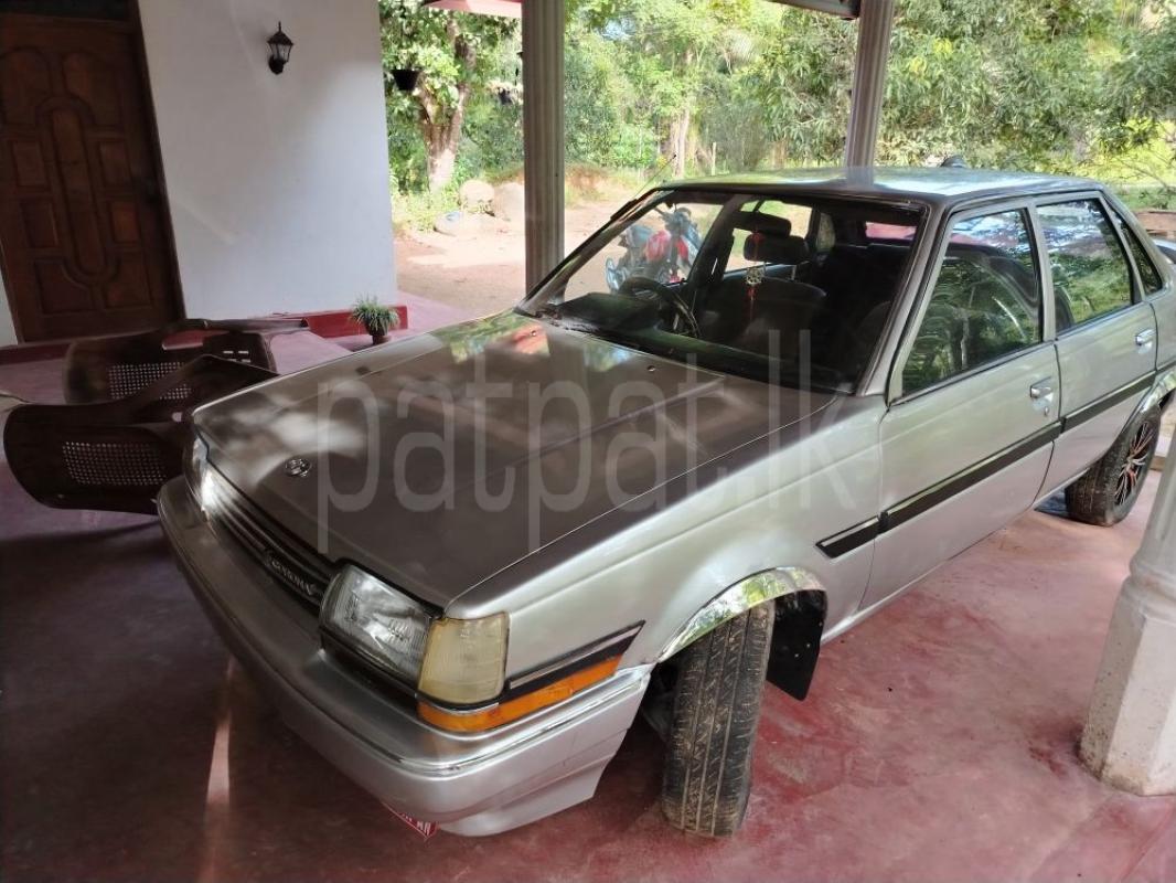 Advertisement image 1