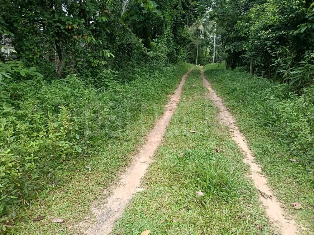 Agricultural Land for Sale in Pamunugama