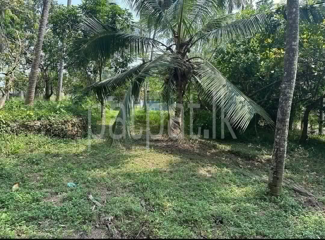Residential Land for Sale in Kadawatha