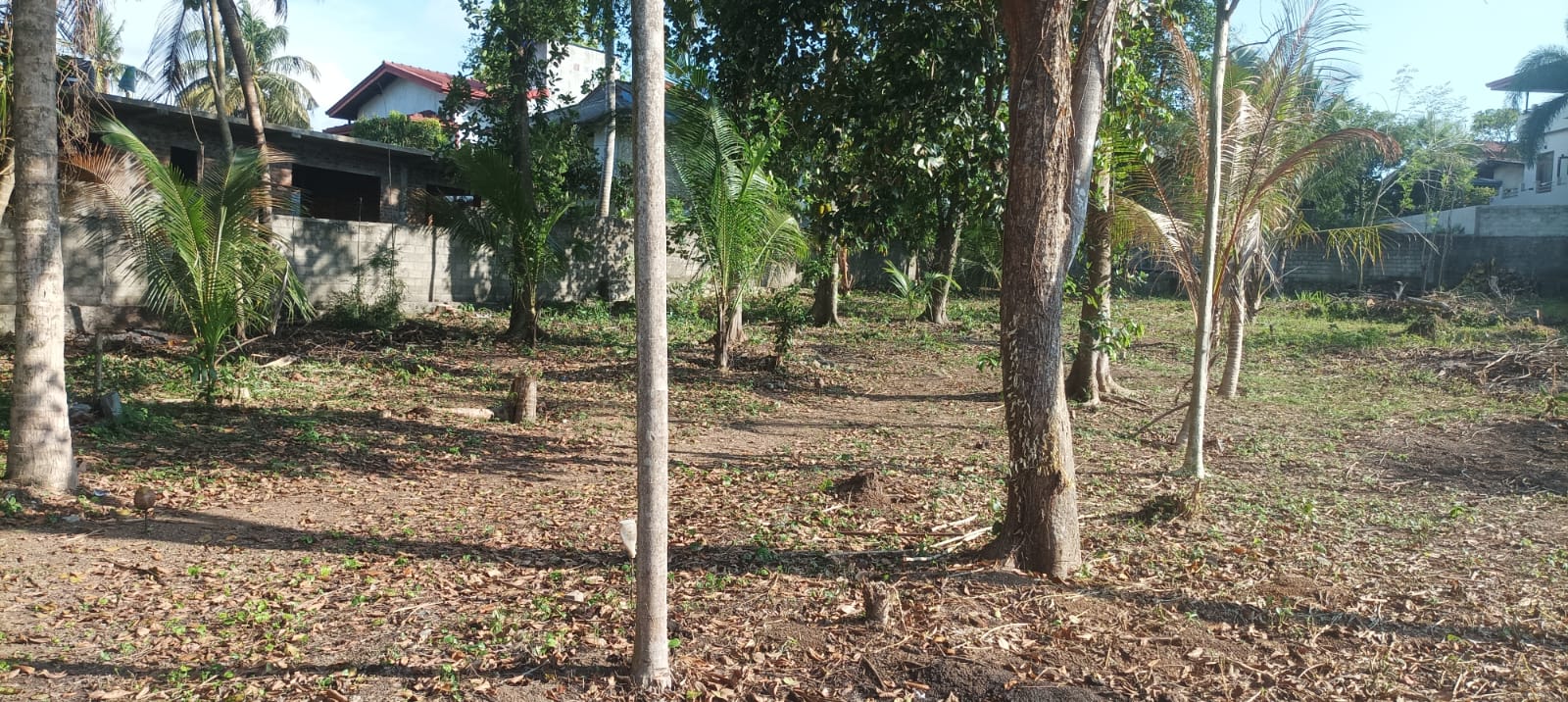 Residential Land for Sale in Ragama
