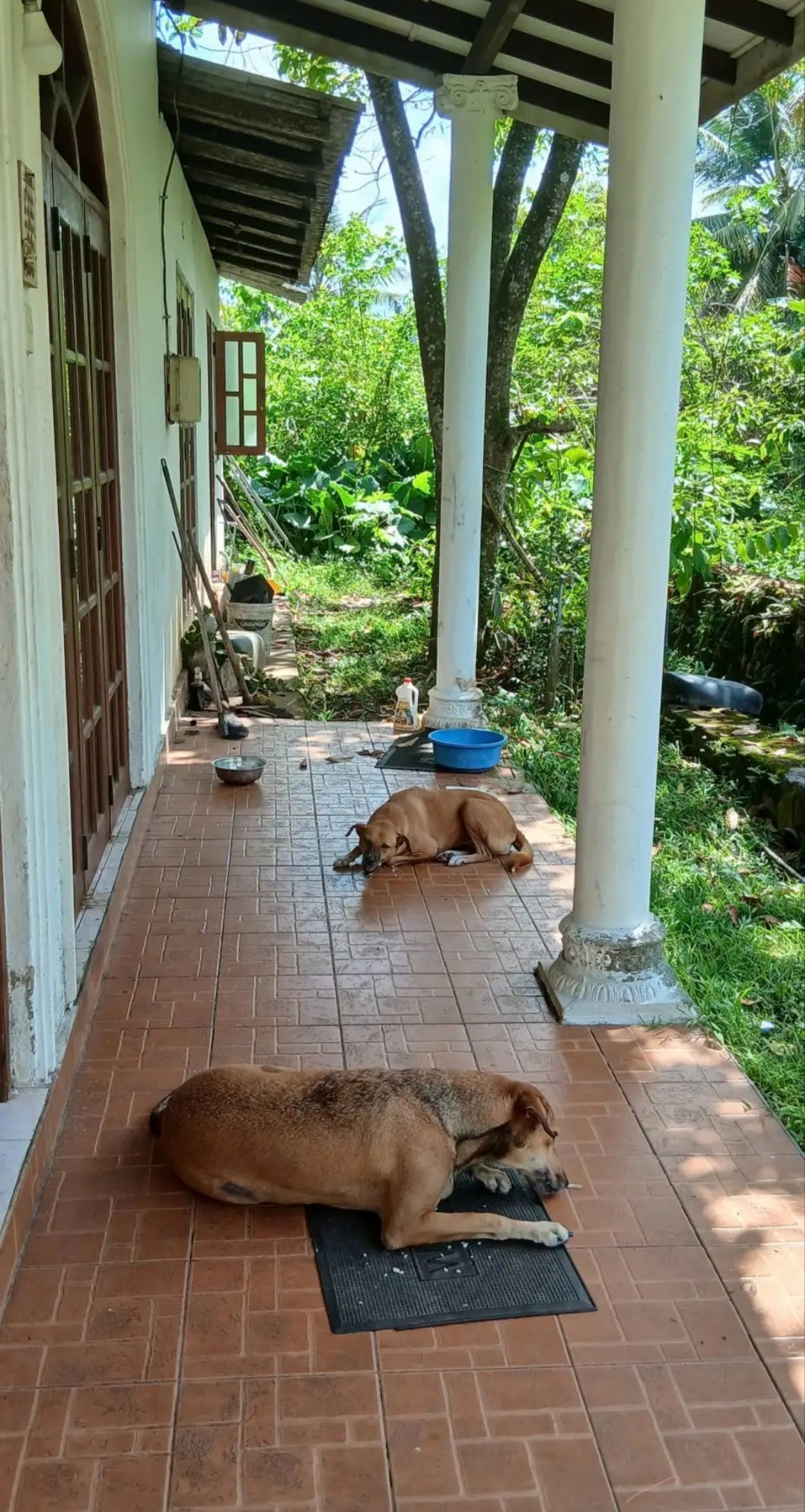 House for Sale in Panadura