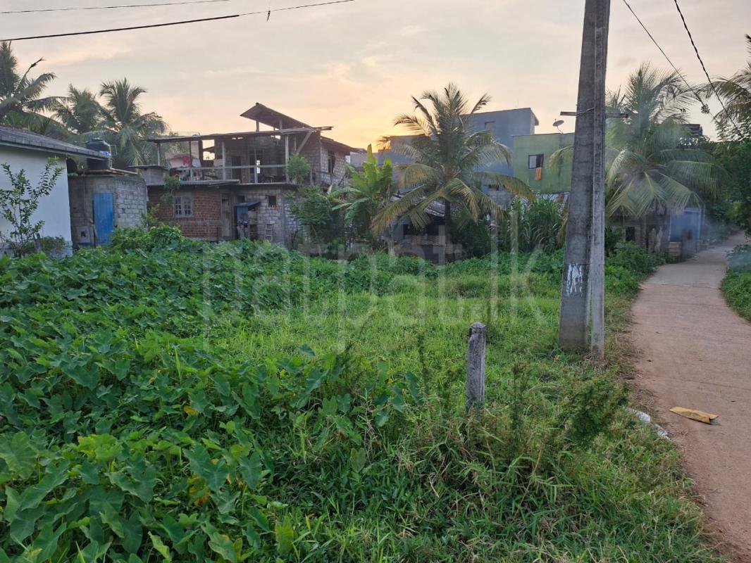 Residential Land for Sale in Wattala ads-image-1