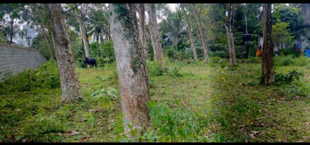 Residential Land for Sale in Kottawa