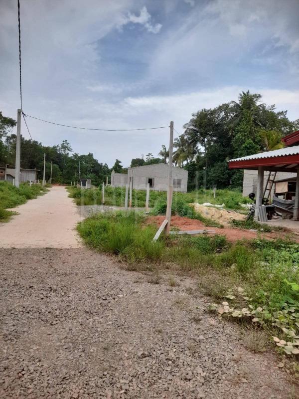 Agricultural Land for Sale in Negombo