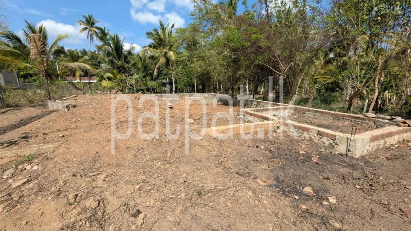 Residential Land for Sale in Giriulla