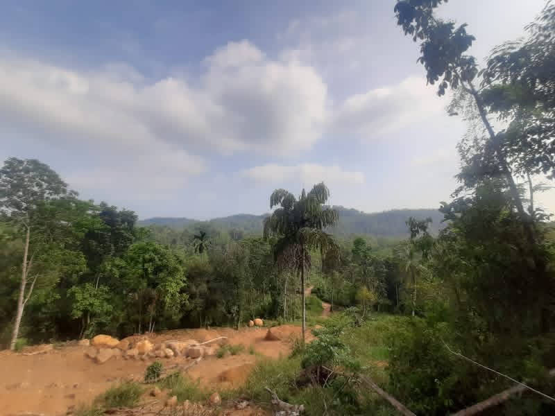 Residential Land for Sale in Galle ads-image-1