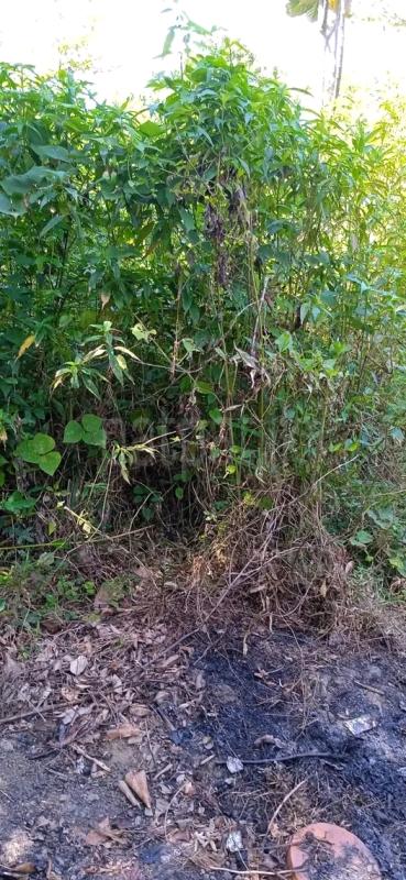 Residential Land for Sale in Wattala