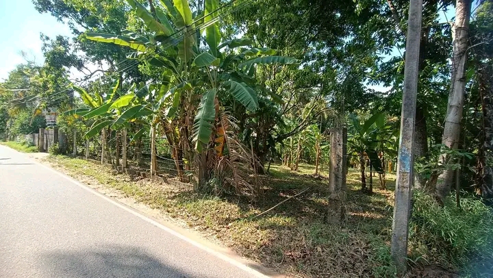 Commercial Land for Sale in Mawathagama