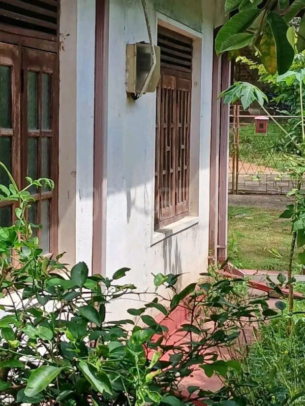 premium-listing-image