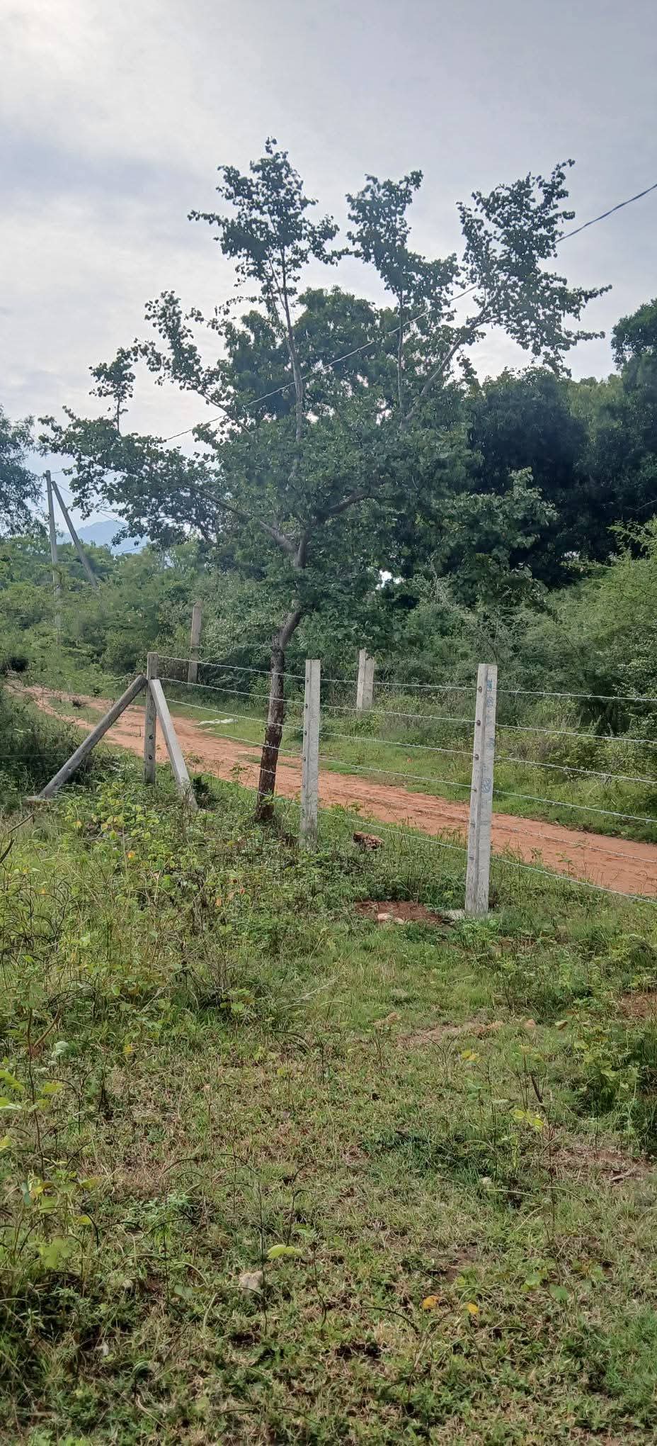 Residential Land for Sale in Kataragama