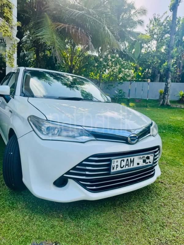 Advertisement image 2