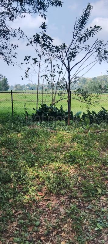 Commercial Land for Sale in Kesbewa ads-image-1