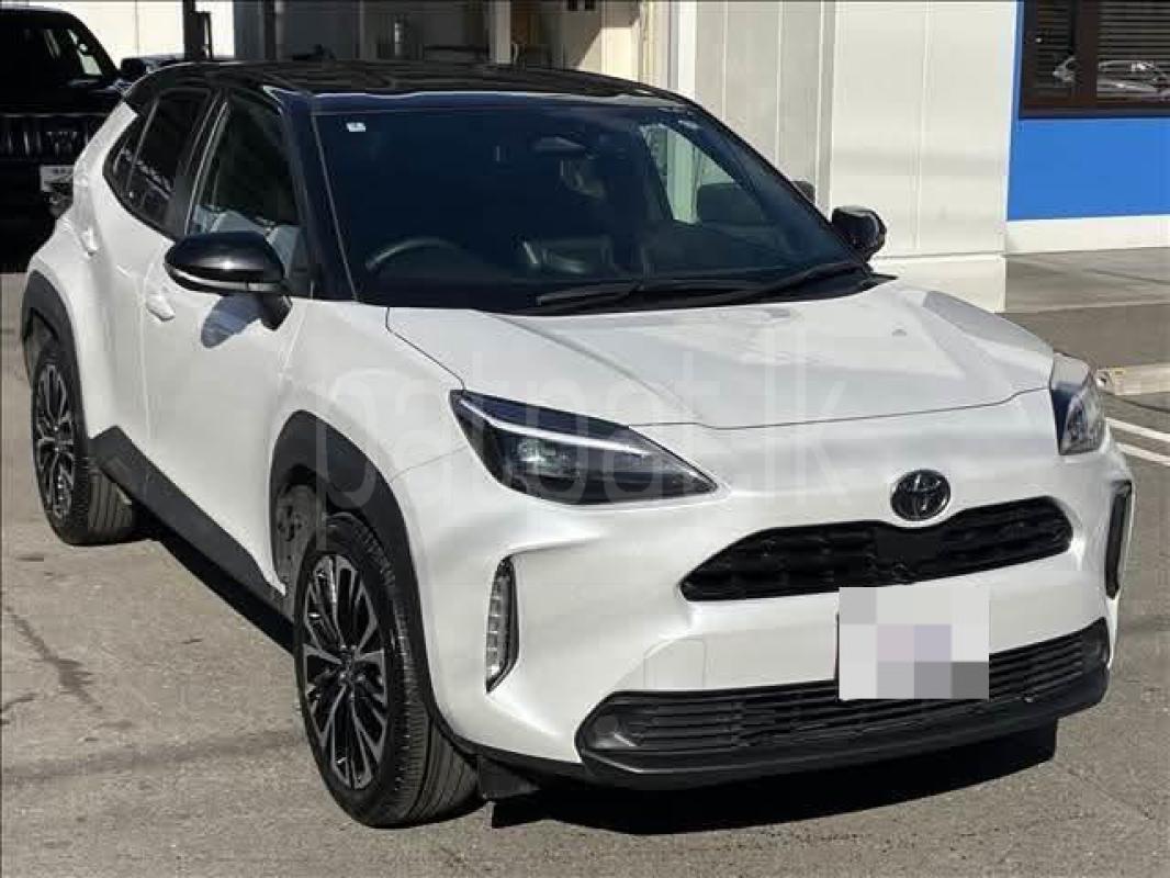 Advertisement image 2