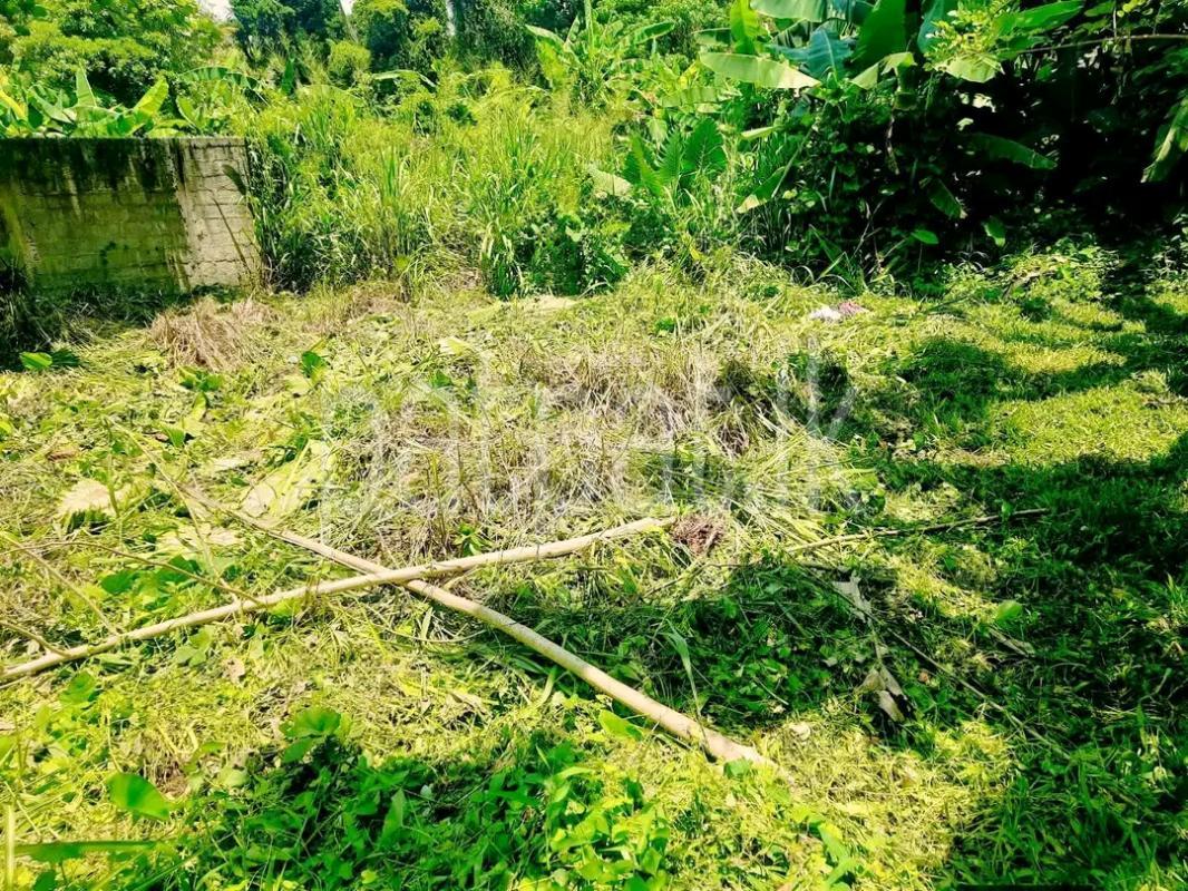 Residential Land for Sale in Pamunugama ads-image-1