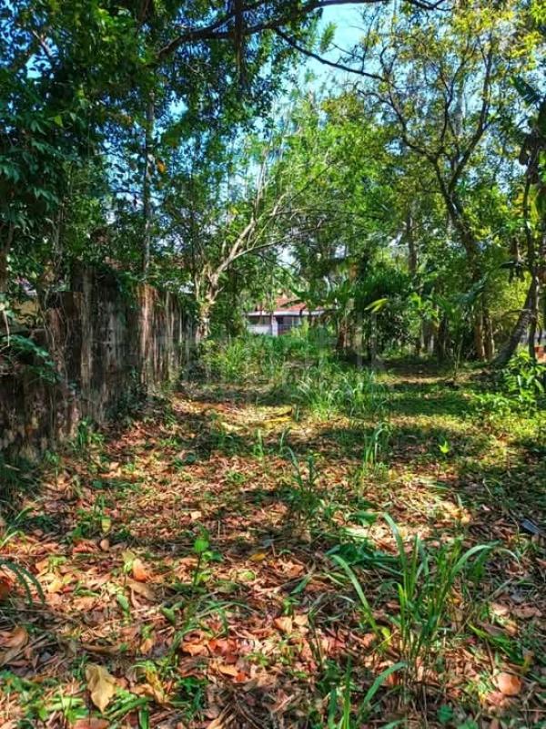 Commercial Land for Sale in Udugampola