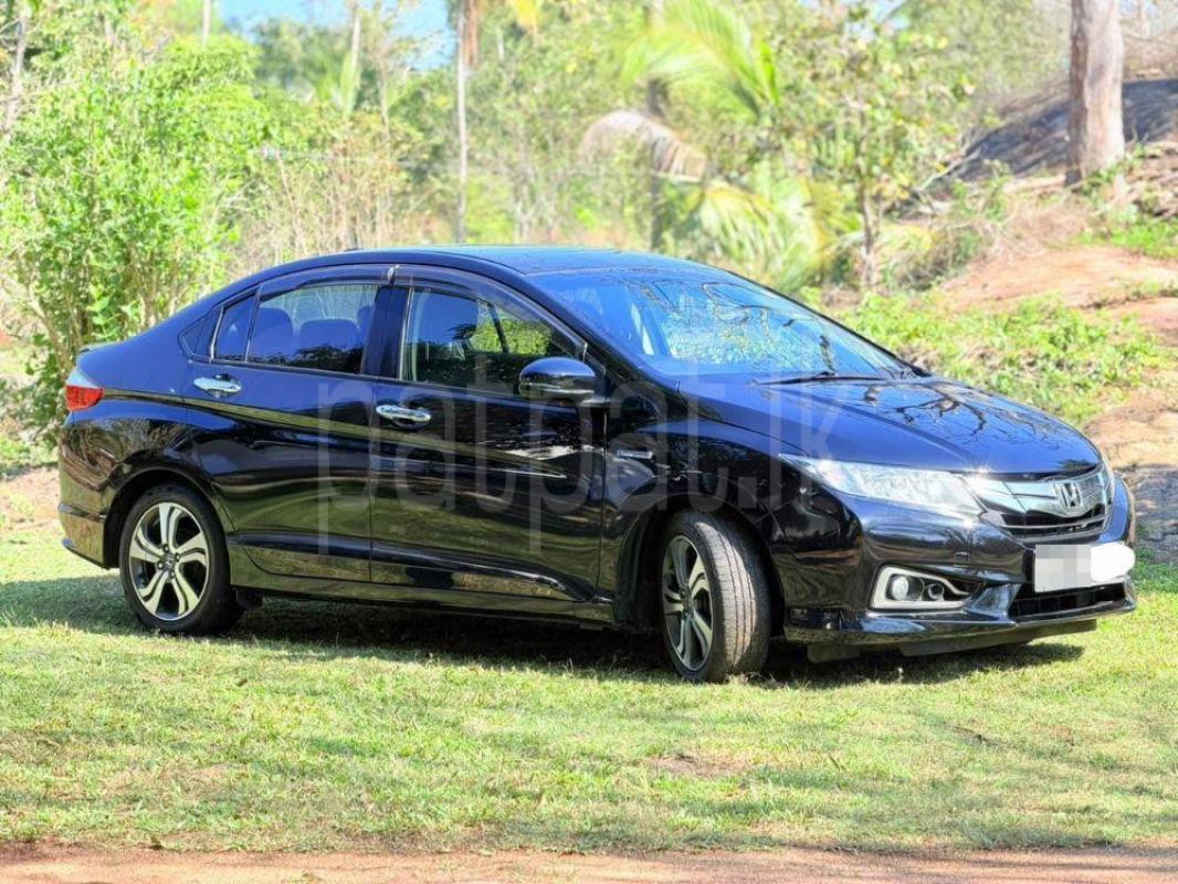 Advertisement image 3