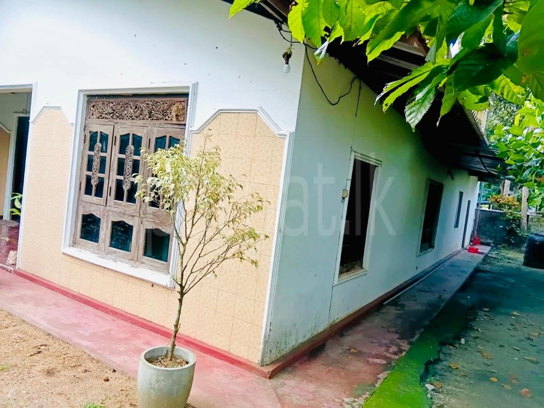 House for Sale in Hingurakgoda