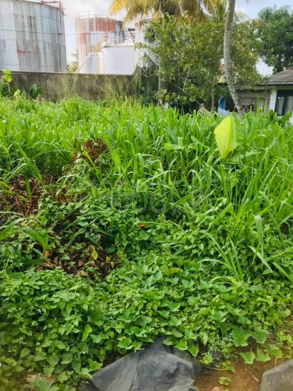 Commercial Land for Sale in Udugama