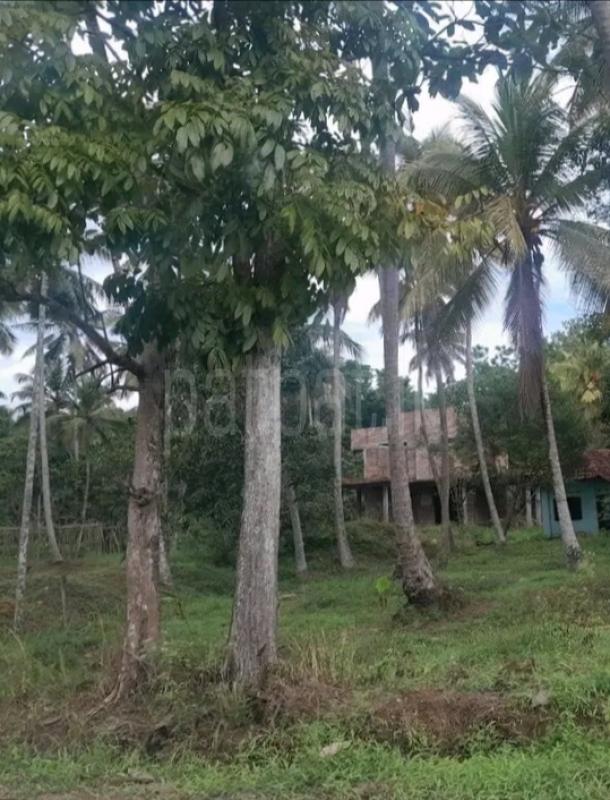Residential Land for Sale in Giriulla