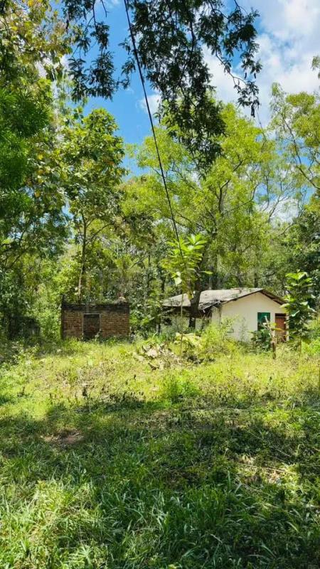 Residential Land for Sale in Badulla