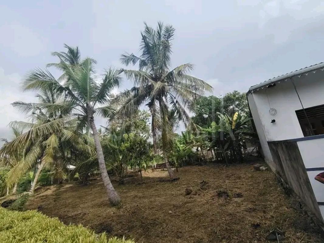 Commercial Land for Sale in Negombo
