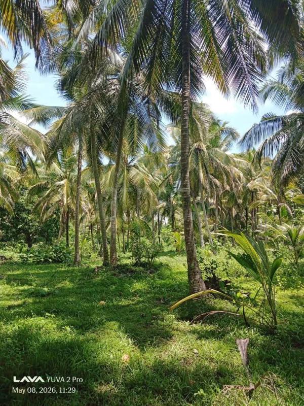 Commercial Land for Sale in Wariyapola