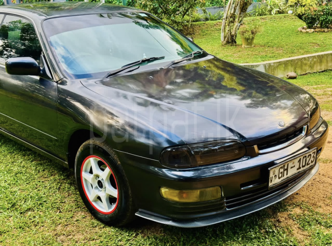 Advertisement image 3