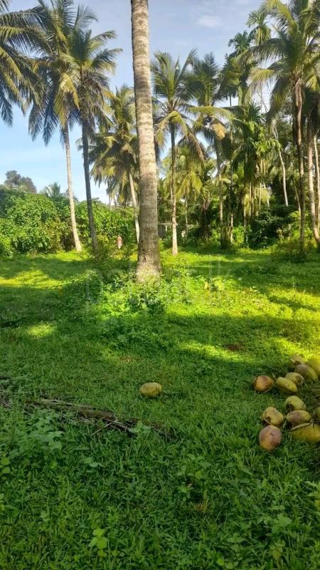 Residential Land for Sale in Maggona