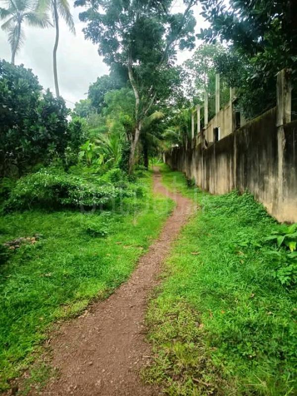 Residential Land for Sale in Raddolugama