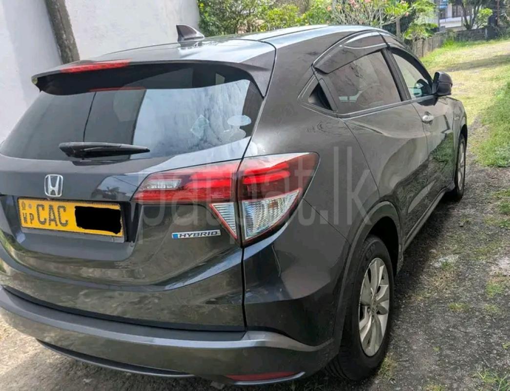 Advertisement image 5