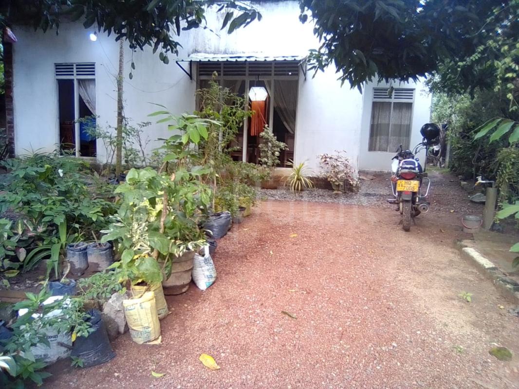 House for Sale in Gampaha ads-image-1