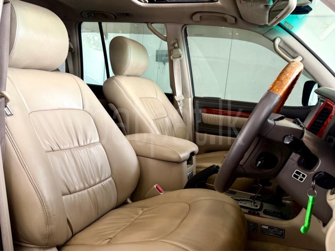 Advertisement image 2