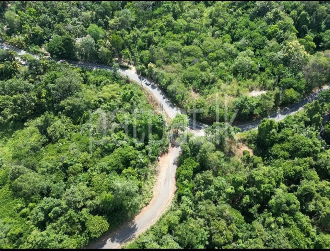Residential Land for Sale in Ella