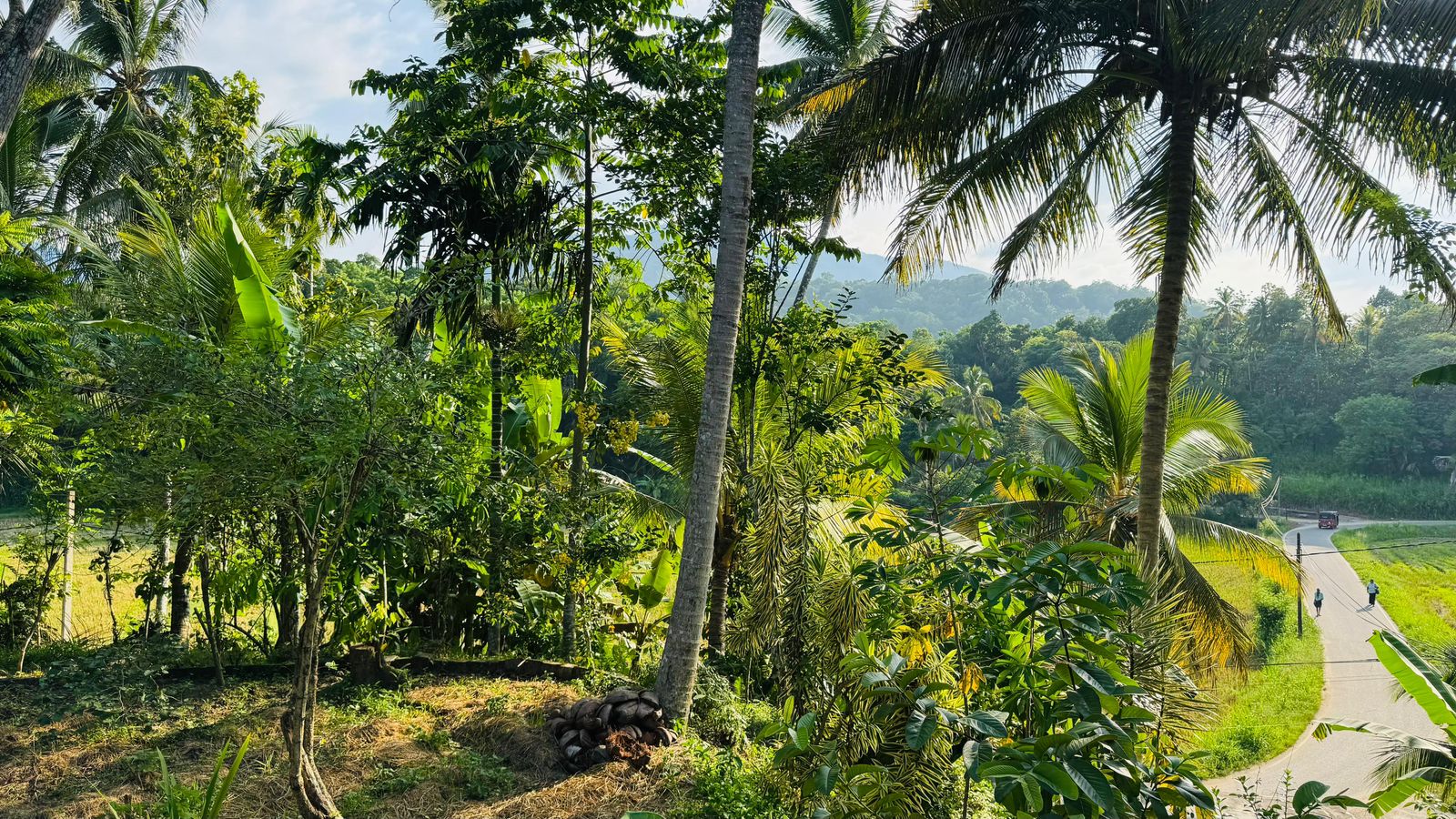 Commercial Land for Sale in Rambukkana