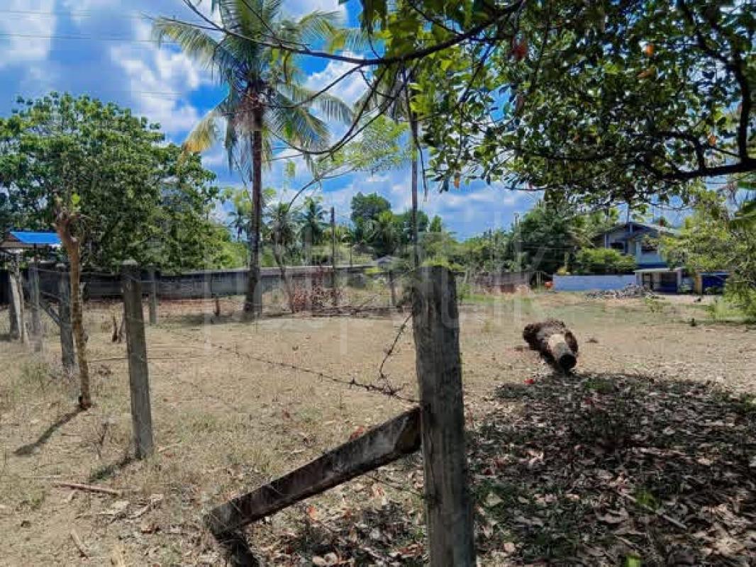 Commercial Land for Sale in Kadawatha