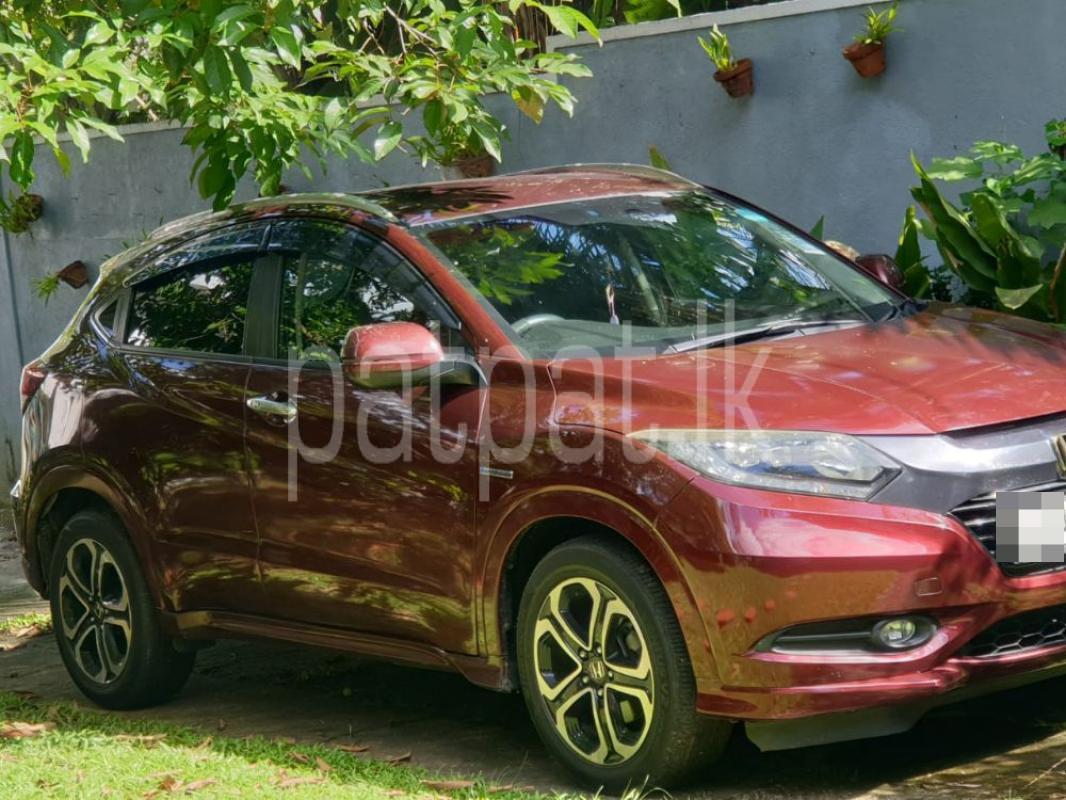 Advertisement image 3