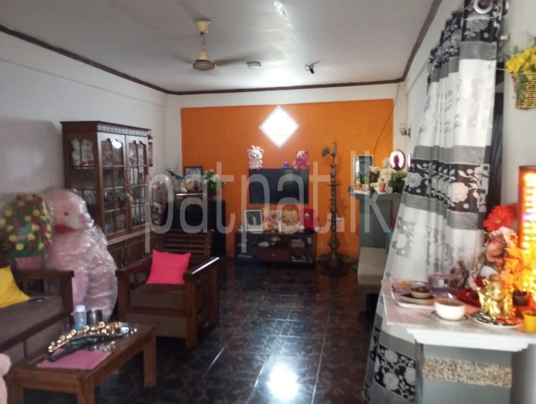 Advertisement image 6