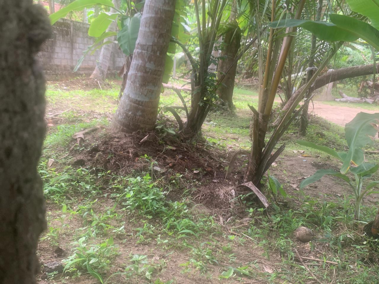 Residential Land for Sale in Panadura
