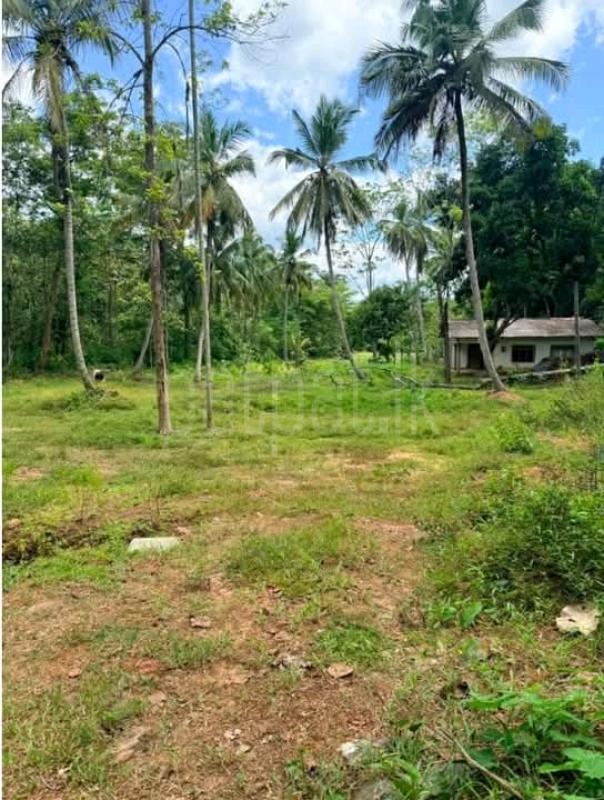 Commercial Land for Sale in Mahiyanganaya
