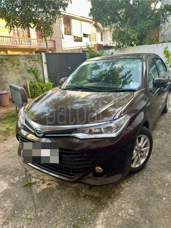 Advertisement image 3