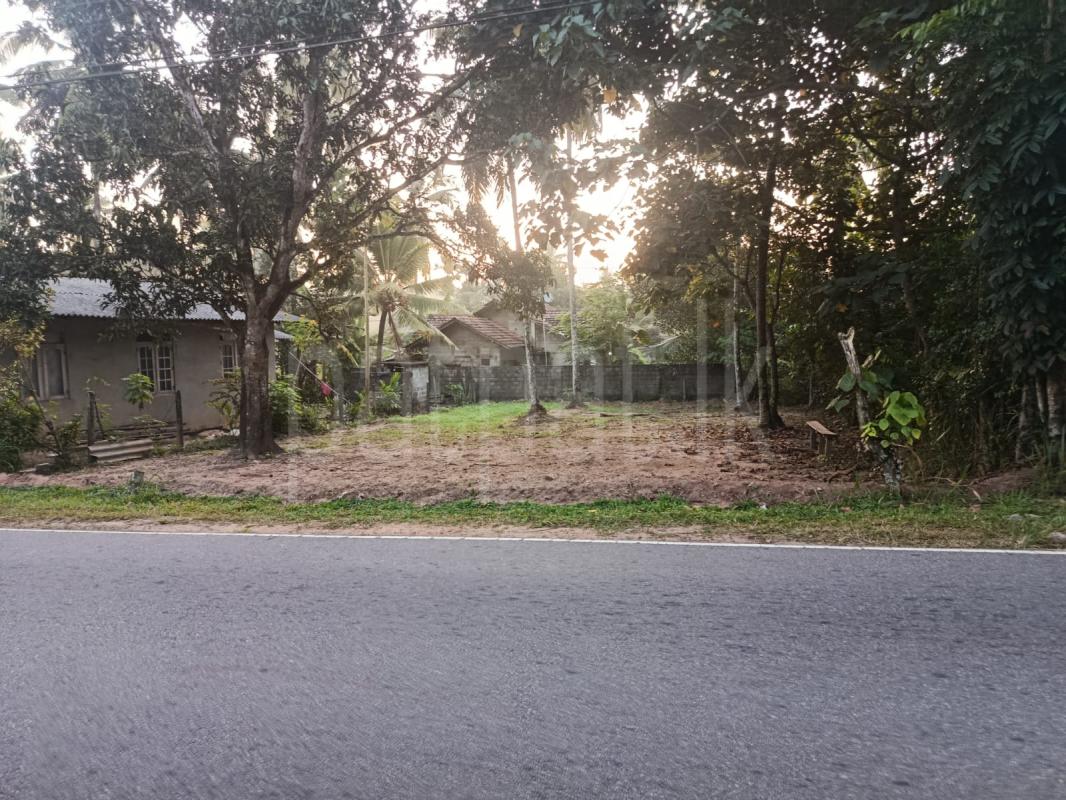 Commercial Land for Sale in Veyangoda ads-image-1