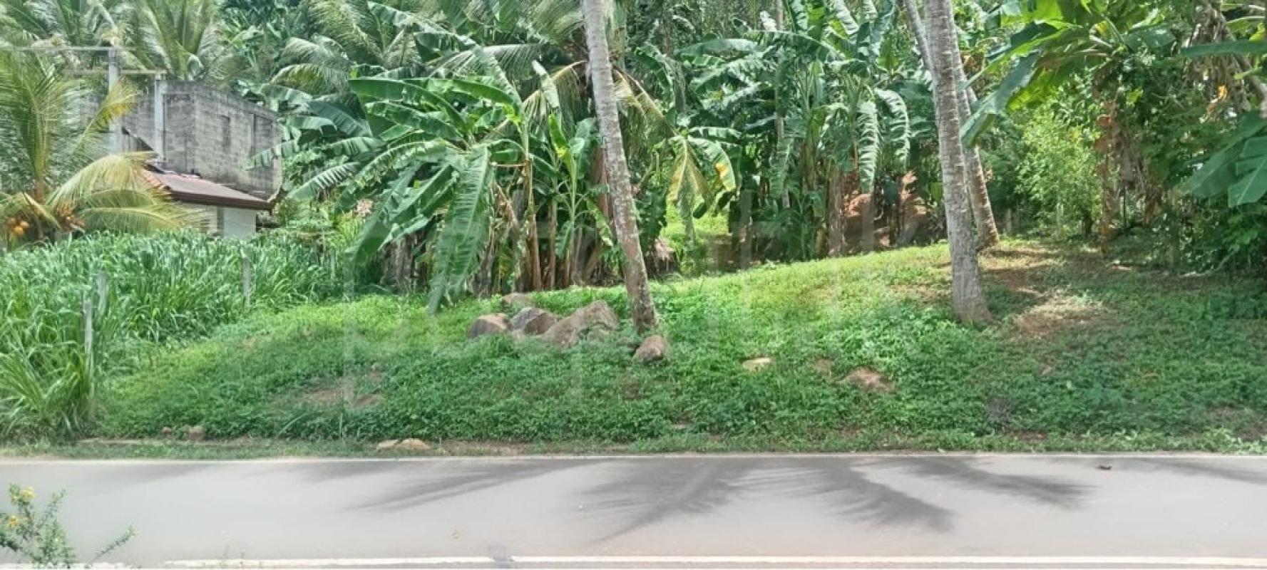 Agricultural Land for Sale in Imaduwa ads-image-1