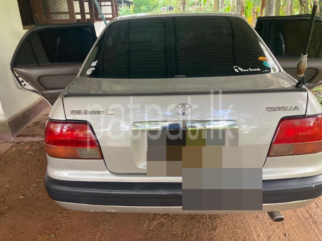 Toyota Corolla 1995 - பயன்படுத்தப்பட்டது கார் sale in Sri Lanka - patpat.lk