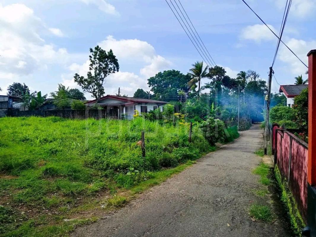 Residential Land for Sale in Kandana