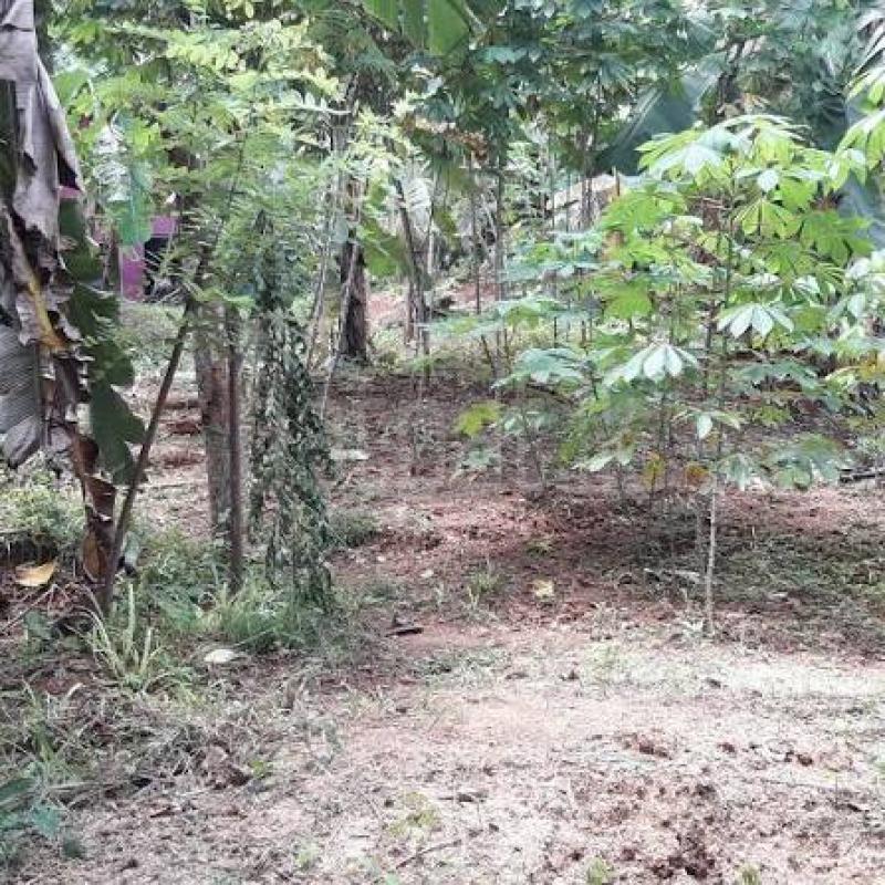 Residential Land for Sale in Ragama