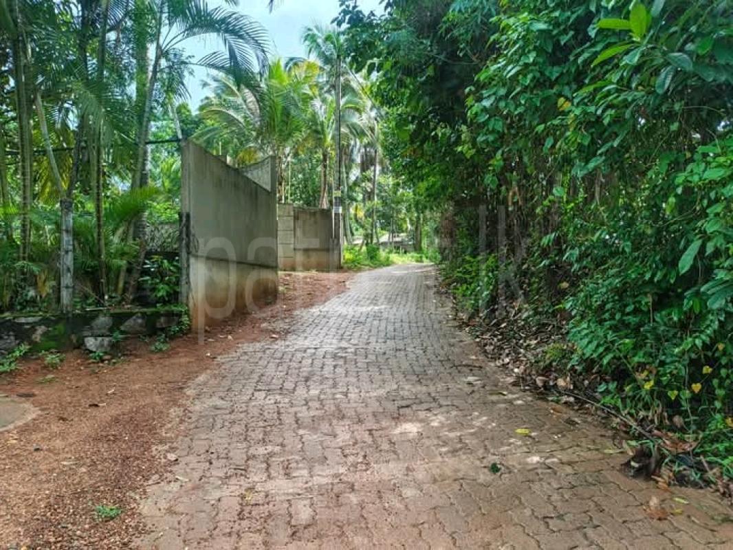 House for Sale in Nittambuwa