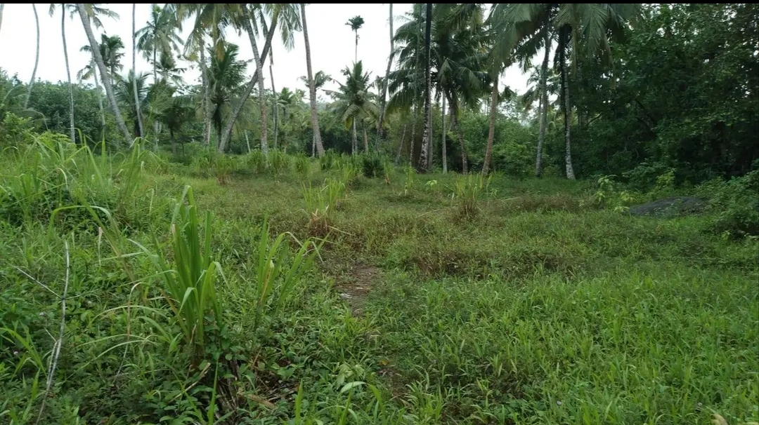 Commercial Land for Sale in Mirissa ads-image-1