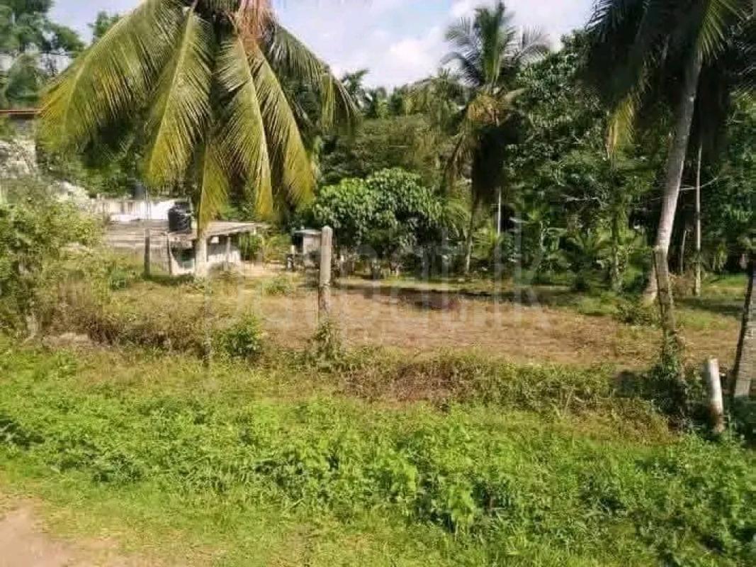 Agricultural Land for Sale in Biyagama
