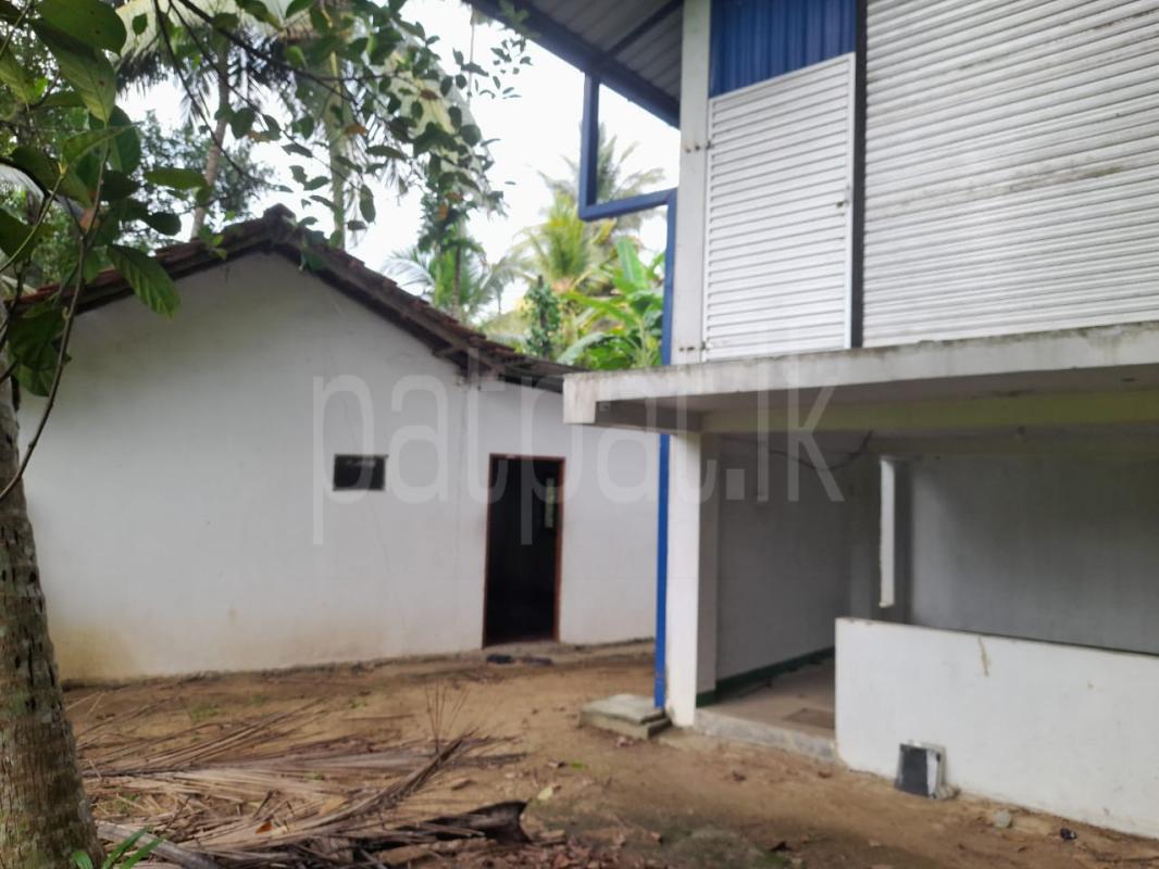 Advertisement image 3